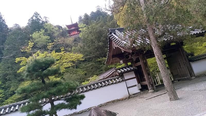 佛通寺｜西日本随一の臨済宗大本山の境内を巡る【広島三原旅】