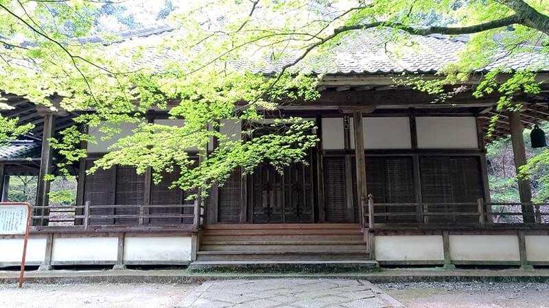 佛通寺｜西日本随一の臨済宗大本山の境内を巡る【広島三原旅】