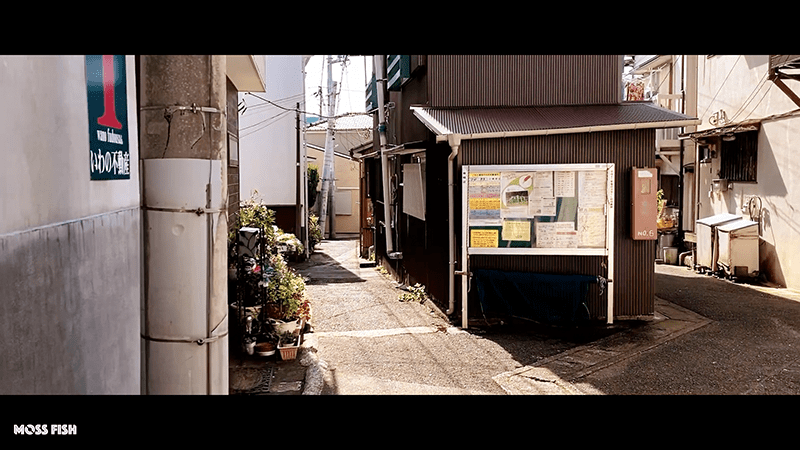 三崎港周辺ぶらり散歩旅！観光と海南神社と町中華