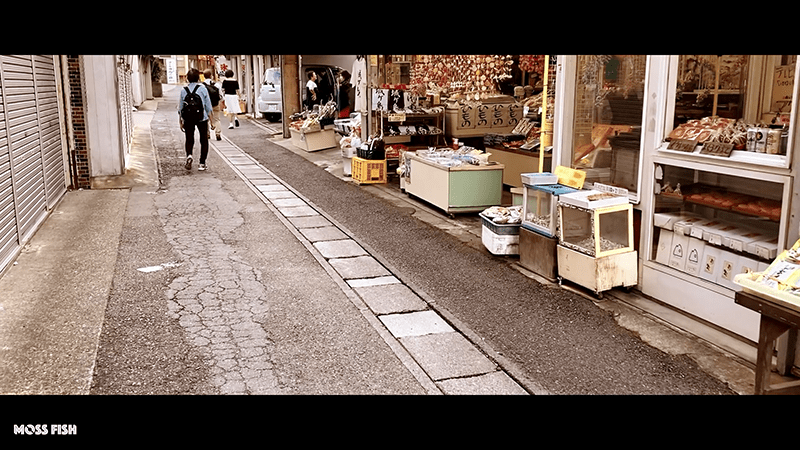 城ヶ島旅！まぐろのお宿「城ヶ島さんご荘」のマグロ尽くし料理が圧巻