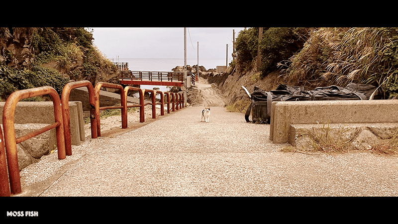 城ヶ島旅！まぐろのお宿「城ヶ島さんご荘」のマグロ尽くし料理が圧巻