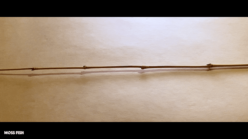 手作り 竹製 釣り竿 ハゼ小物用 5 No.145)江戸前ハゼ中通和竿