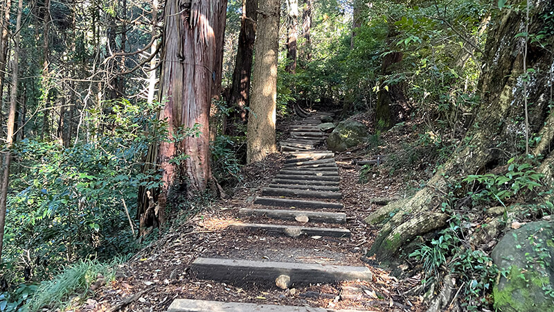 筑波山登頂｜白雲橋コースで女体山頂へ【登山・ハイキング】