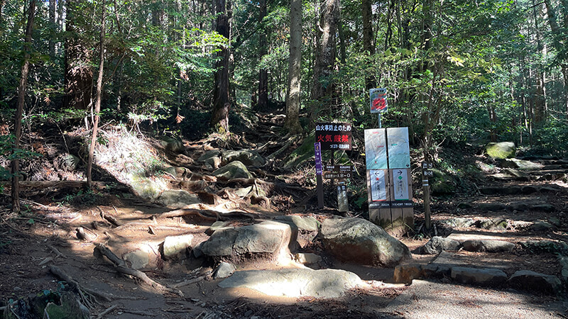筑波山登頂｜白雲橋コースで女体山頂へ【登山・ハイキング】