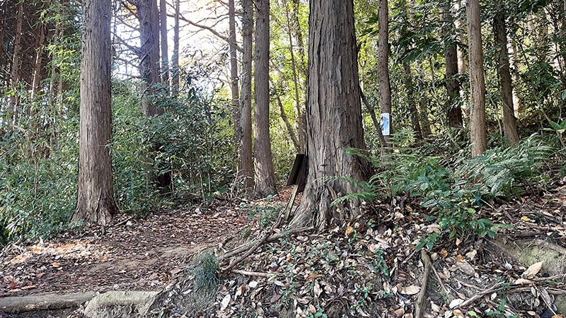 小町山山頂→朝日峠展望公園！小町の館から周回してみた【登山・ハイキング】