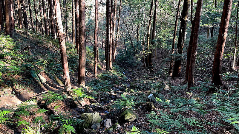 小町山山頂→朝日峠展望公園！小町の館から周回してみた【登山・ハイキング】