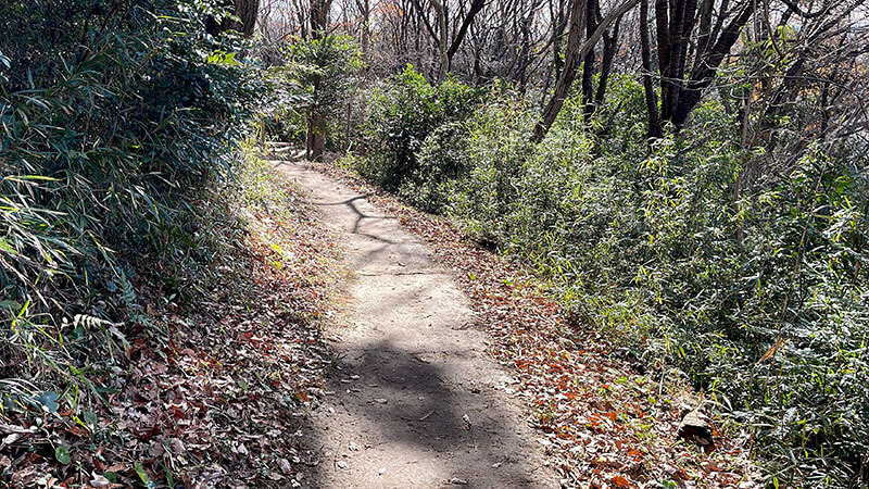 小町山山頂→朝日峠展望公園！小町の館から周回してみた【登山・ハイキング】