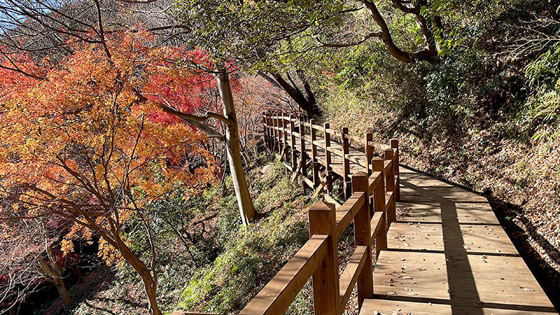 小町山山頂→朝日峠展望公園！小町の館から周回してみた【登山・ハイキング】