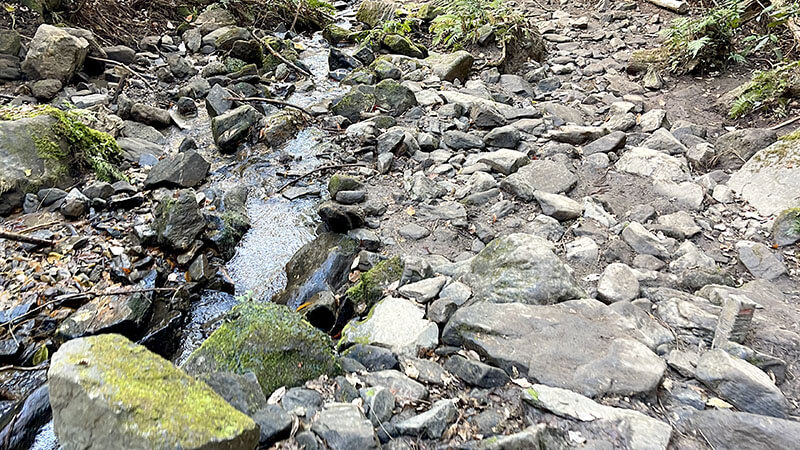 小町山山頂→朝日峠展望公園！小町の館から周回してみた【登山・ハイキング】