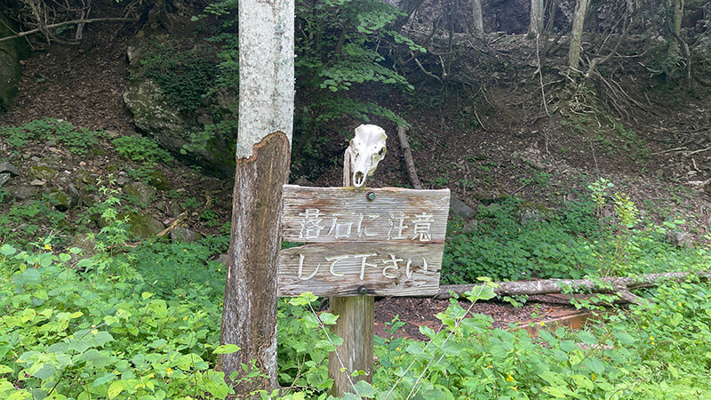 奥鬼怒温泉郷「手白澤温泉」へ｜山道を2時間半歩いて浸かる至高の温泉