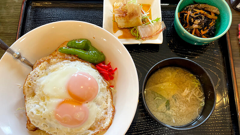 孤独のグルメ「しょうが焼き目玉丼」を茨城鹿嶋で喰らう！【キッチンSALA】