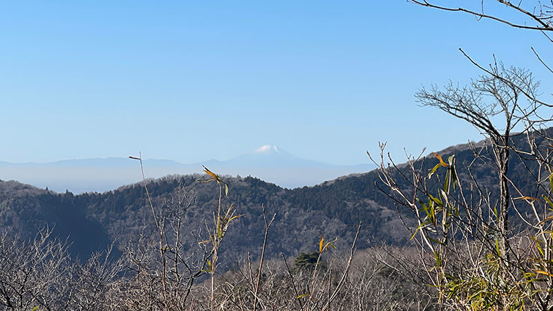 古民家カフェ岡野ファームの健康的なランチで素敵時間【茨城県石岡市】