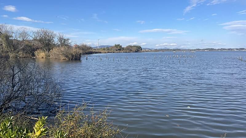 霞ヶ浦総合公園を散歩！風車と水車が魅せる景色が心地良い癒やしの公園散策記