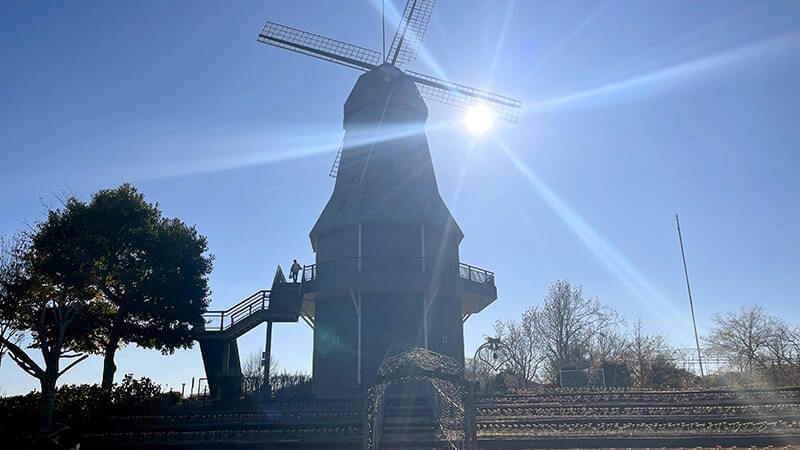 霞ヶ浦総合公園を散歩！風車と水車が魅せる景色が心地良い癒やしの公園散策記