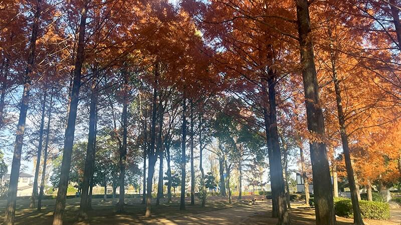 霞ヶ浦総合公園を散歩！風車と水車が魅せる景色が心地良い癒やしの公園散策記