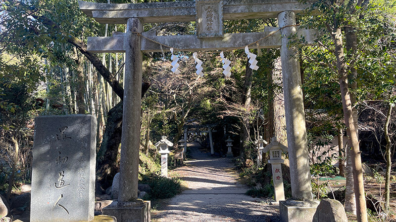 木立の中に佇む五所駒瀧神社の拝殿と石畳の参道