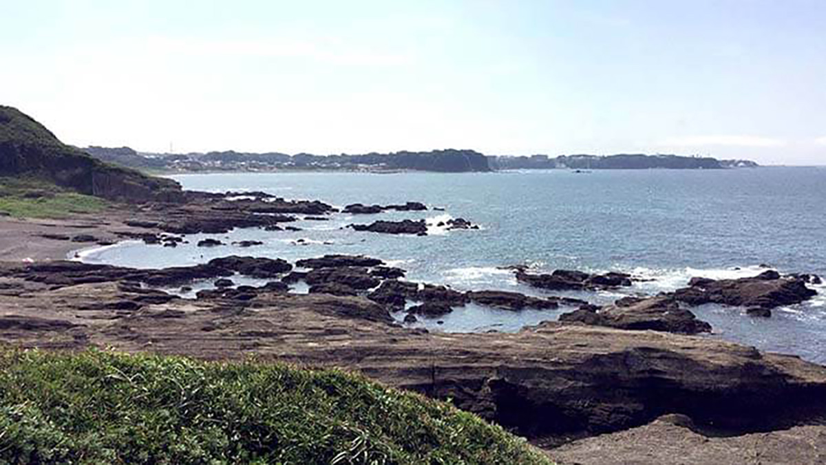 黒崎の鼻から眺める三浦半島の岩礁と海の景色