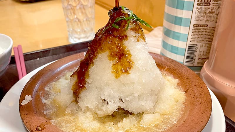 すりたての大根おろしと薬味を盛ったおろしハンバーグ