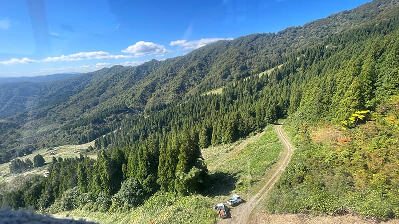 八海山ロープウェーから見下ろす杉林と山肌を縫う細い作業道