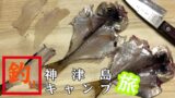 赤崎遊歩道|神津島一押しの岸壁に設置された美しい木製遊歩道 赤崎遊歩道|神津島一押しの岸壁に設置された美しい木製遊歩道
