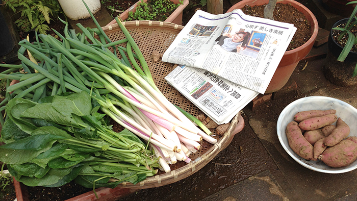 畑で新鮮野菜を収穫。土遊びを満喫した週末。