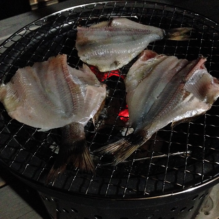 初心者でも安心の堤防五目釣り!釣った魚は干物にして食す 初心者でも安心の堤防五目釣り!釣った魚は干物にして食す