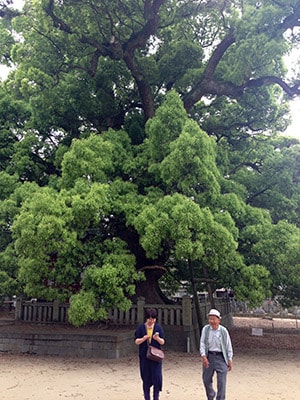 f:id:islog:20151230195148j:plain f:id:islog:20151230195148j:plain