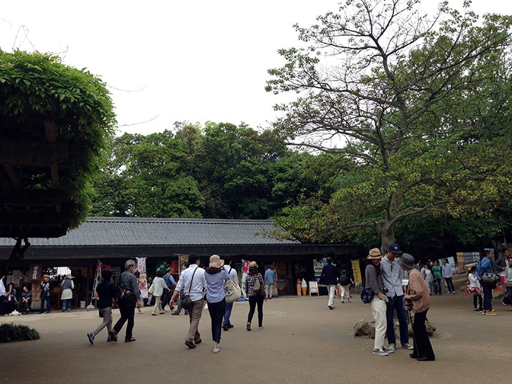 ロープウェイで松山城へ！愛媛旅行ではやっぱり訪れたい名所