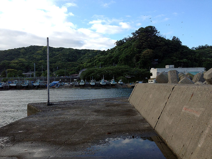 千葉県内房で穴釣り!メバル・カサゴにギンポにベラちゃん 千葉県内房で穴釣り!メバル・カサゴにギンポにベラちゃん