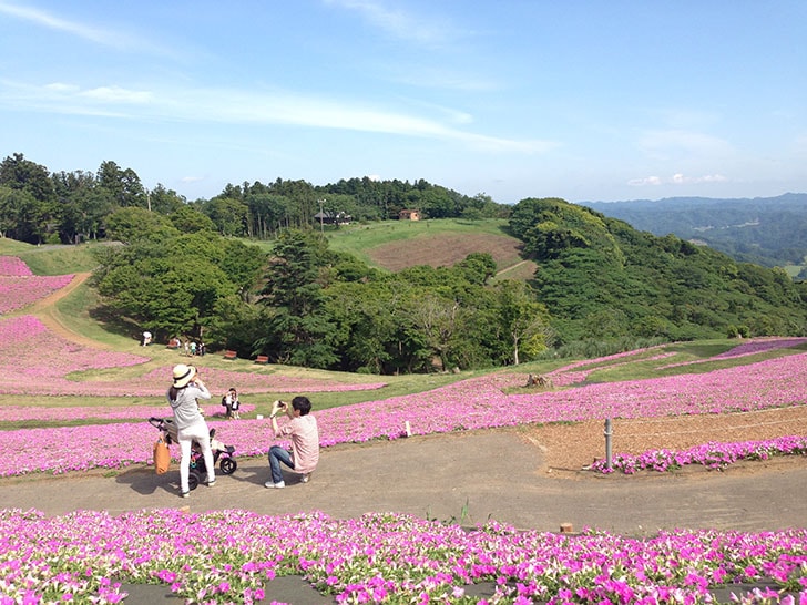 千葉マザー牧場のおすすめソフトクリームとジンギスカン！