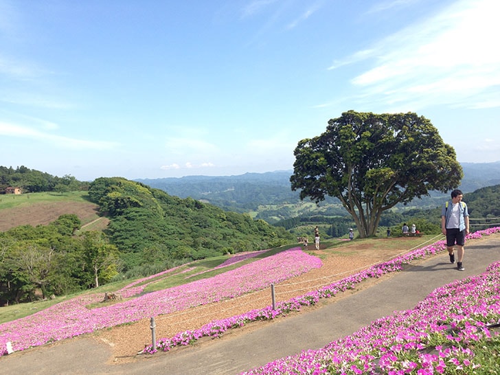 千葉マザー牧場のおすすめソフトクリームとジンギスカン！