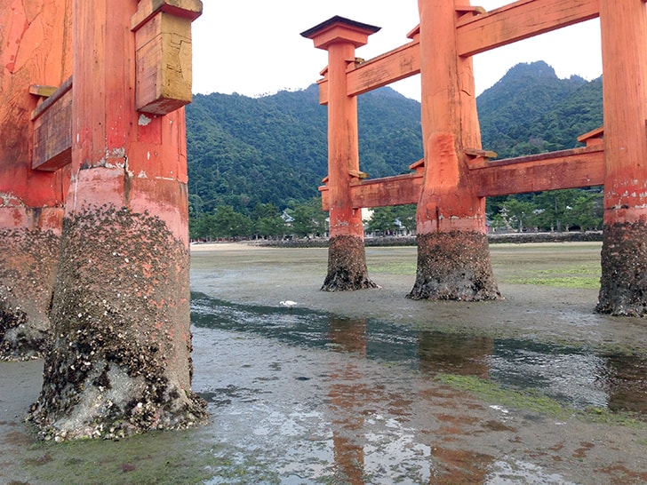 嚴島神社｜広島宮島にある歴史ある神社でおみくじ…結果は平？？