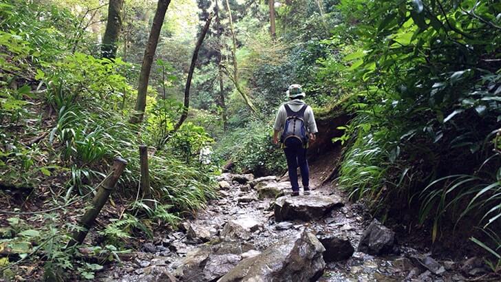 高尾山稲荷山コースから下山！天然温泉「仙川 湯けむりの里」へ
