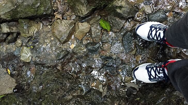 高尾山稲荷山コースから下山！天然温泉「仙川 湯けむりの里」へ