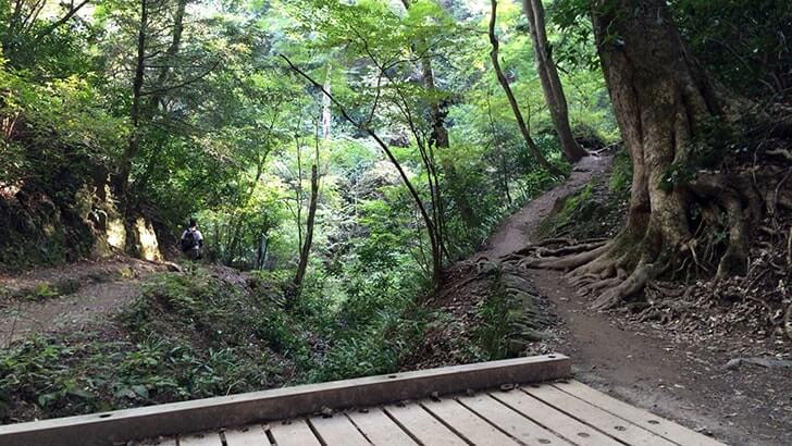 高尾山稲荷山コースから下山！天然温泉「仙川 湯けむりの里」へ