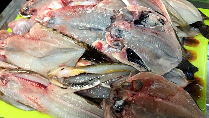 釣った魚は手作り干物に!塩干し・みりん干し・ウイスキー干し 釣った魚は手作り干物に!塩干し・みりん干し・ウイスキー干し