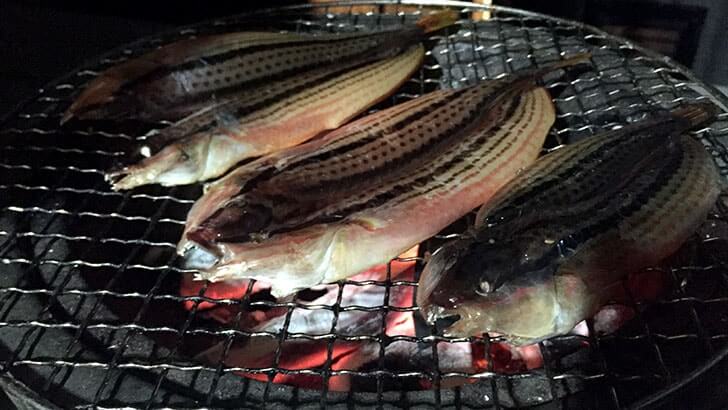 釣った魚は手作り干物に!塩干し・みりん干し・ウイスキー干し 釣った魚は手作り干物に!塩干し・みりん干し・ウイスキー干し