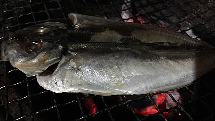 熱海の老舗『釜鶴ひもの店』のあじの干物を七輪で焼いて食す 熱海の老舗『釜鶴ひもの店』のあじの干物を七輪で焼いて食す