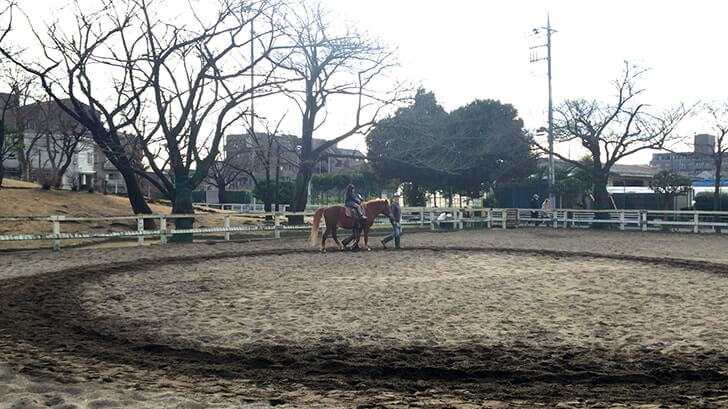 西亀有にある動物園のような公園『上千葉砂原公園』