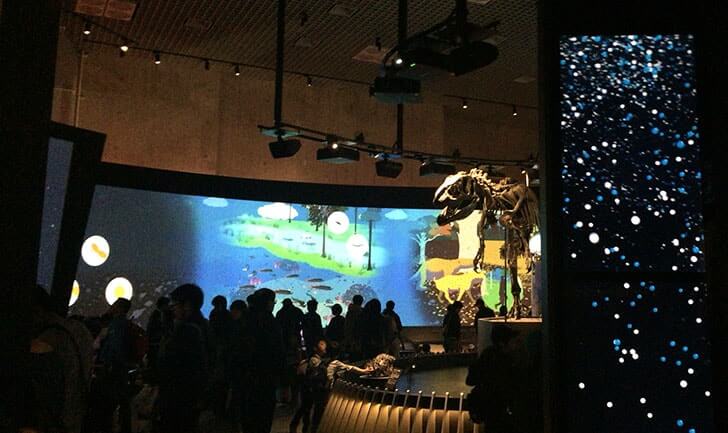 上野『国立科学博物館』シロナガスクジラの大模型が目印