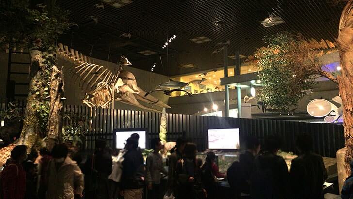 上野『国立科学博物館』シロナガスクジラの大模型が目印
