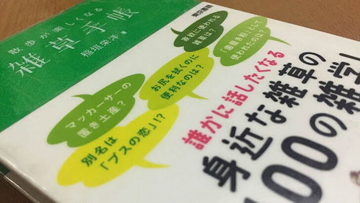 「雑草という名前の草はない」 セメントプランターに植えた道端の植物