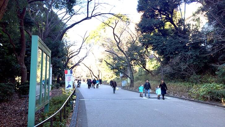 上野公園にある重要文化財 寛永寺清水観音堂の『月の松』