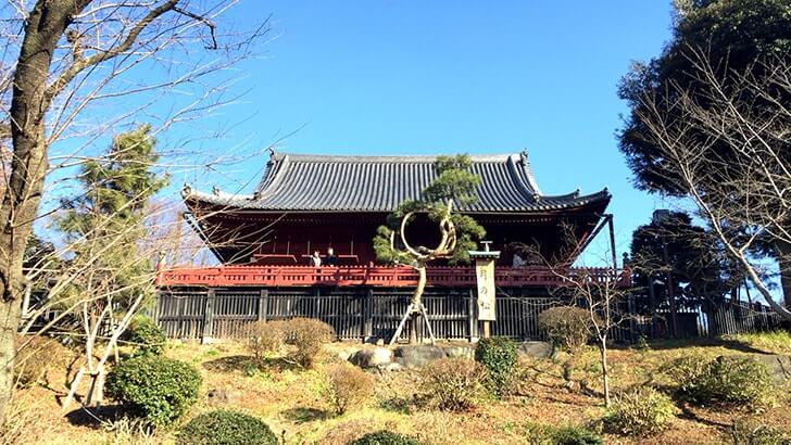 上野公園にある重要文化財 寛永寺清水観音堂の『月の松』