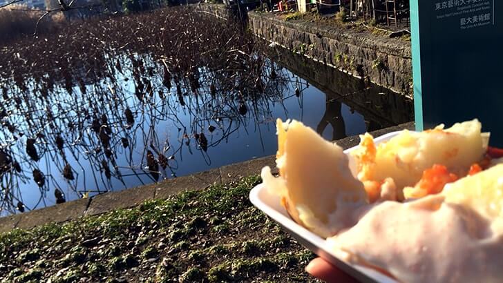 上野公園にある重要文化財 寛永寺清水観音堂の『月の松』