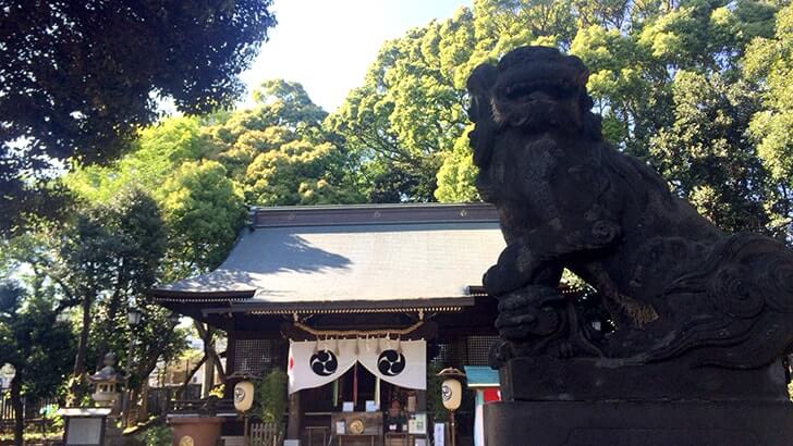 ドラマ「すいか」のロケ地巡り！三軒茶屋太子堂八幡神社近辺