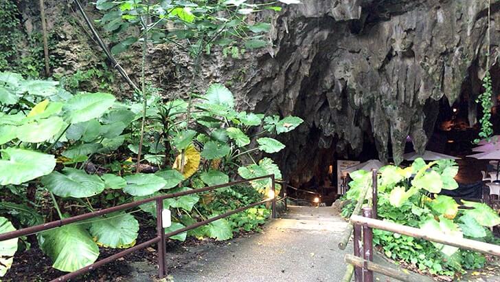 ガンガラーの谷-元鍾乳洞の森を巡るパワースポットツアー【沖縄旅行】