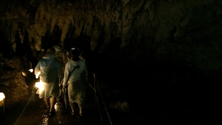 ガンガラーの谷-元鍾乳洞の森を巡るパワースポットツアー【沖縄旅行】
