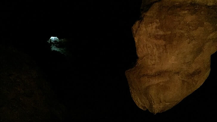 ガンガラーの谷-元鍾乳洞の森を巡るパワースポットツアー【沖縄旅行】