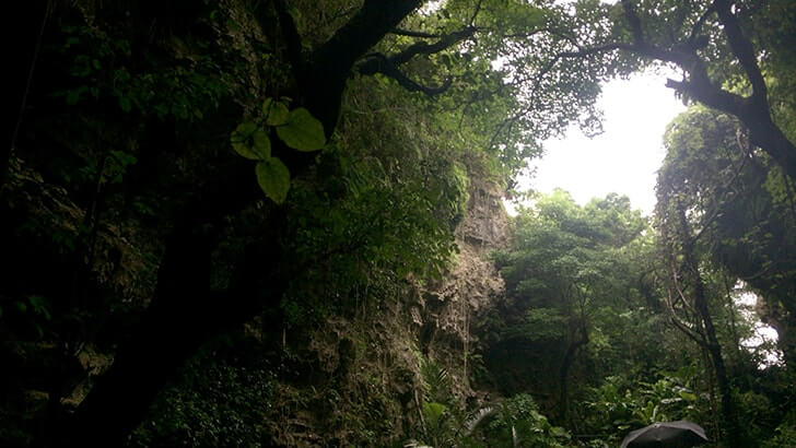 ガンガラーの谷-元鍾乳洞の森を巡るパワースポットツアー【沖縄旅行】